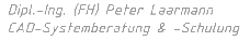 Dipl.-Ing. (FH) Peter Laarmann, CAD-Systemberatung und -Schulung